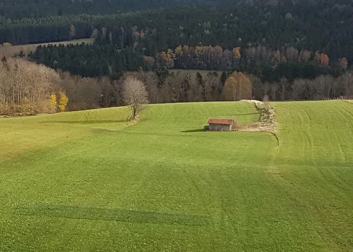 Gut Steinhuegel Appartement