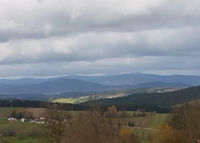 Gut Steinhuegel Appartement Bischofsmais